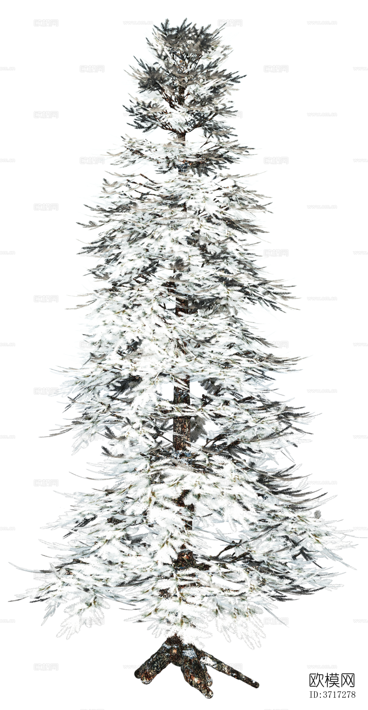 免抠冬季干枯的景观树行道树乔木植物下载