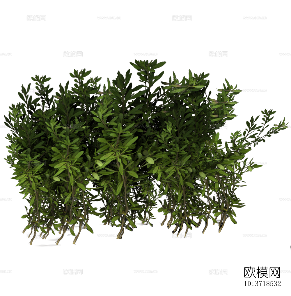 免抠景观植物灌木球下载