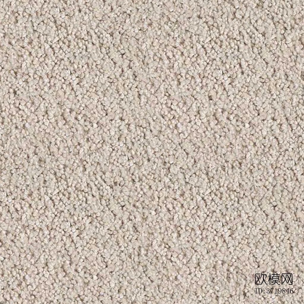 无缝白色短毛绒地毯下载