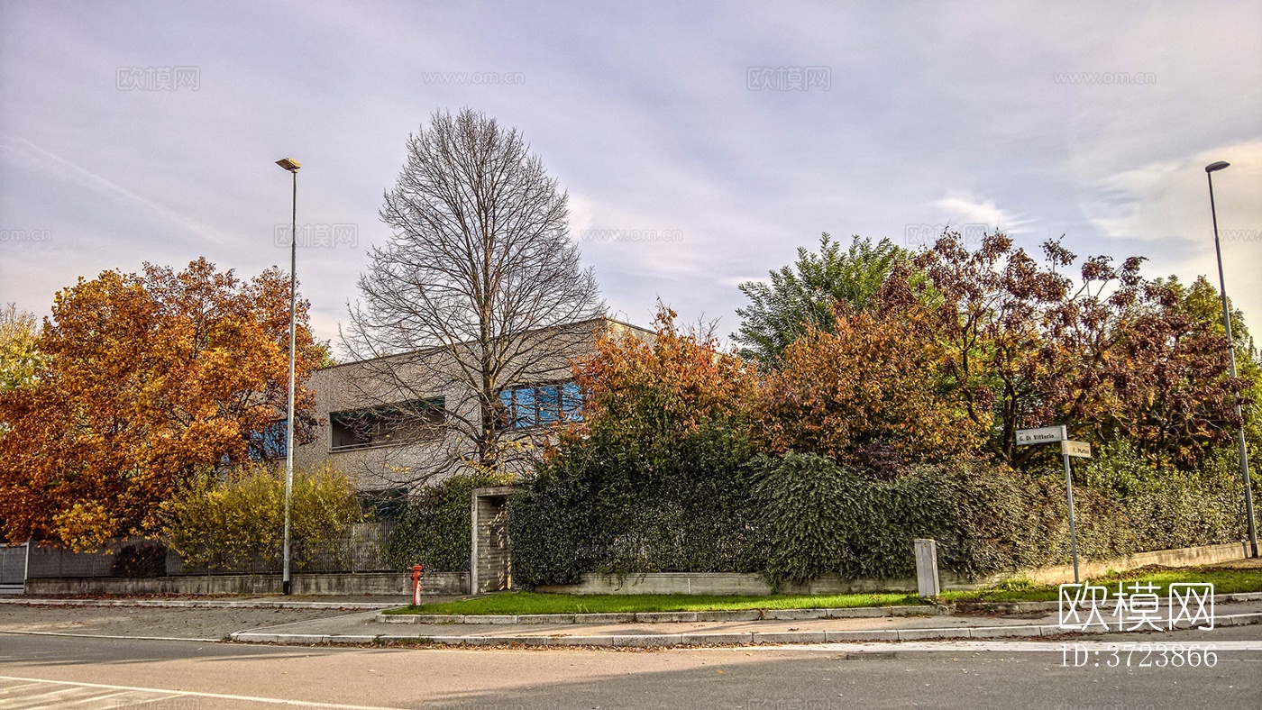 秋天的树木街道路面风景下载