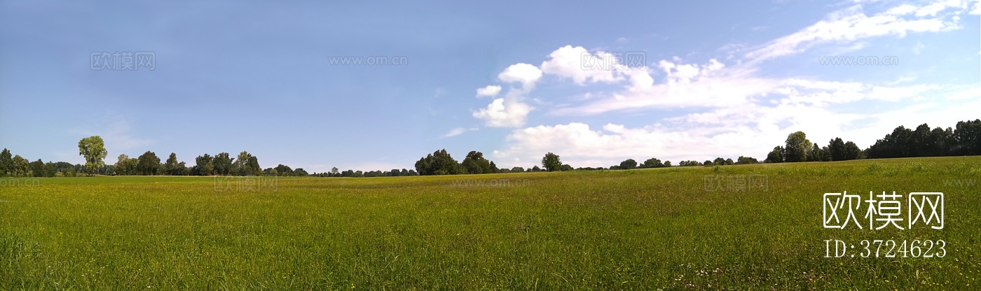 蓝色天空的乡村田野景观风景