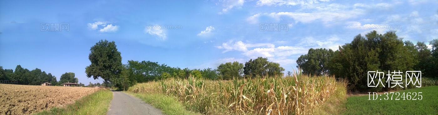 蓝色天空的乡村田野景观风景