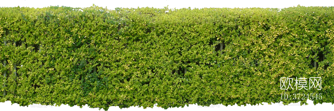 免抠景观植物灌木球下载