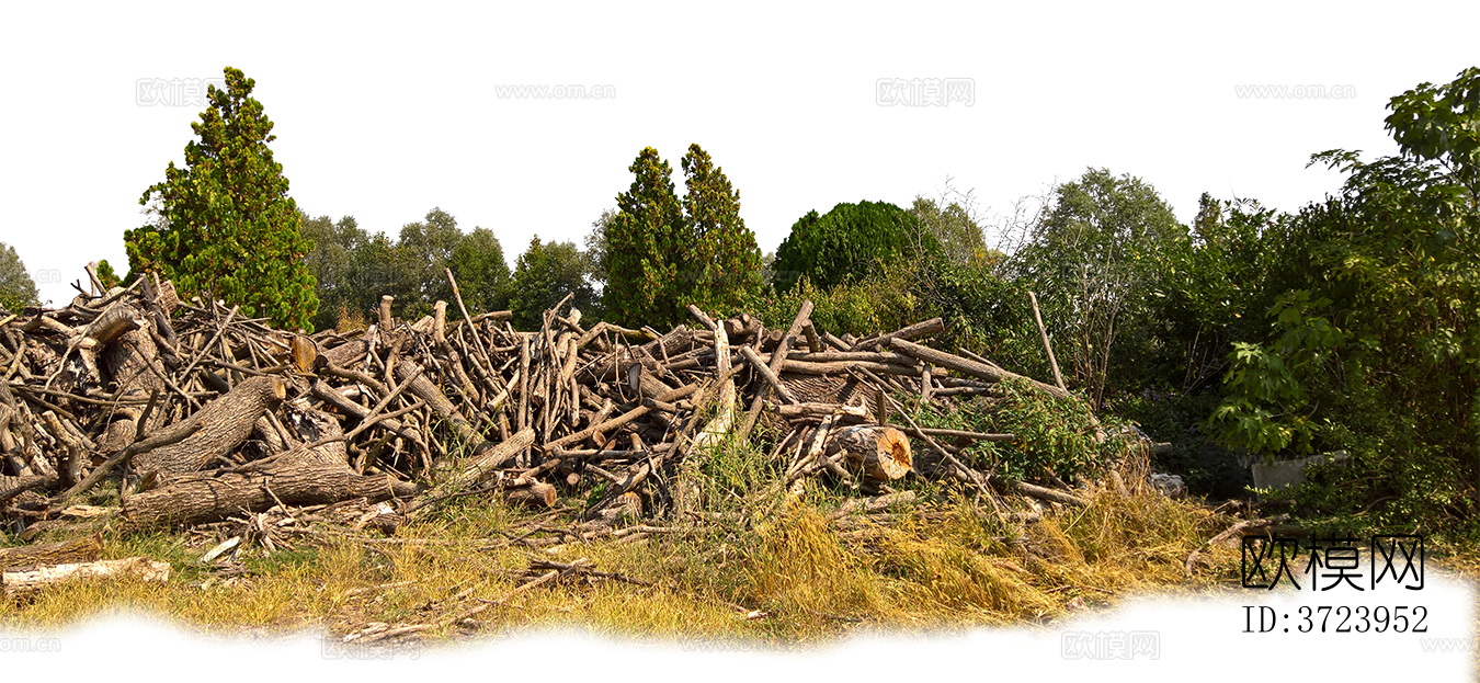 免扣原木木材下载
