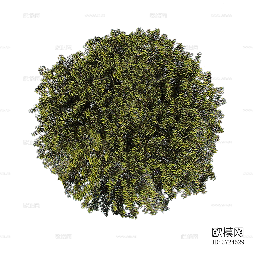 免抠景观植物灌木球下载