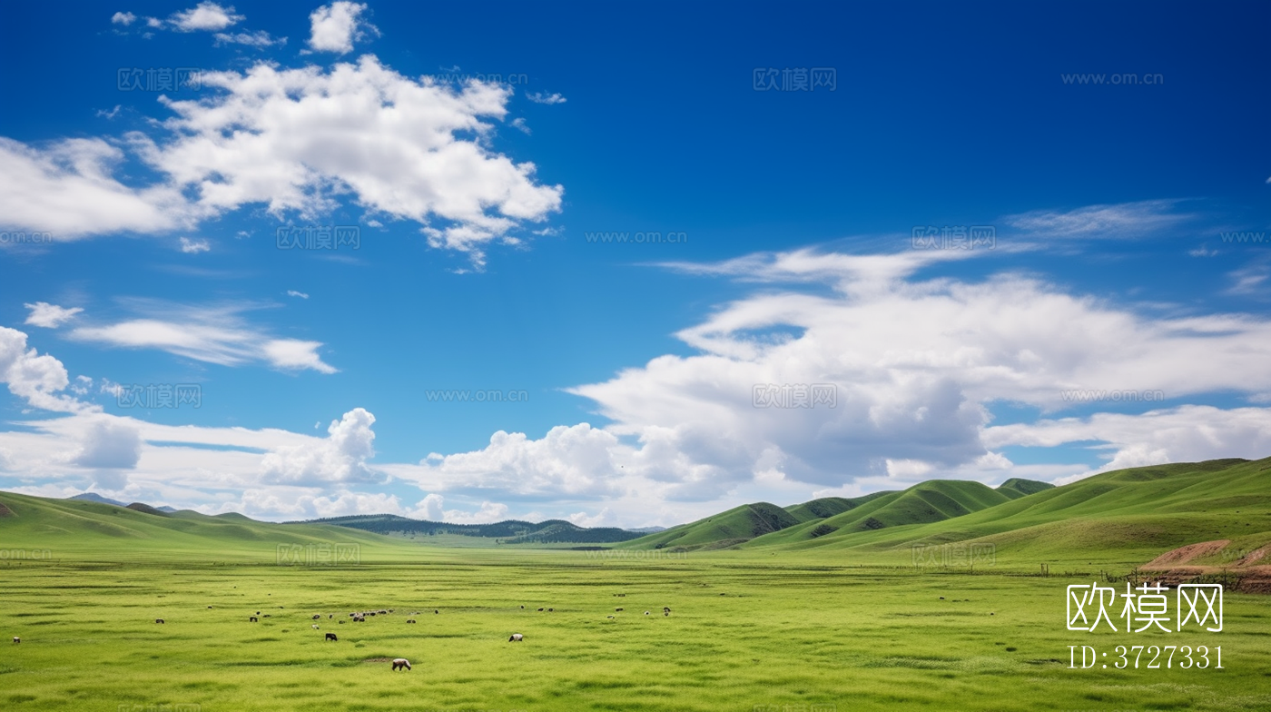 草原牧场
