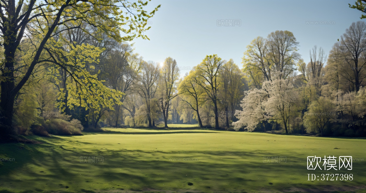 户外草地天空下载