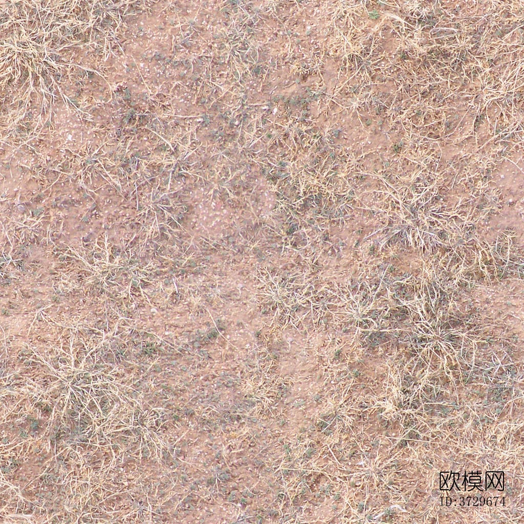 无缝枯黄枯枝落叶树叶草皮草地草坪道路地面下载