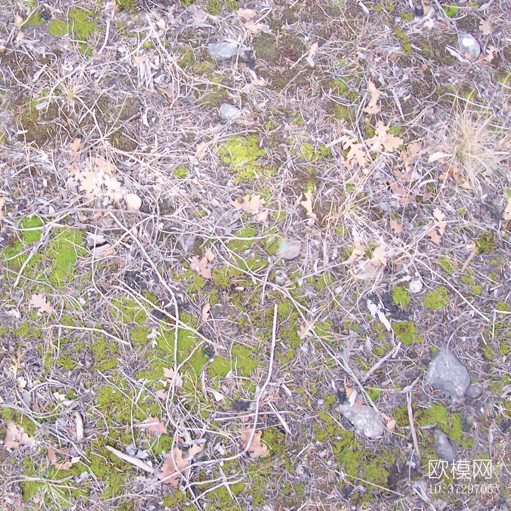 无缝枯黄枯枝落叶树叶草皮草地草坪道路地面下载