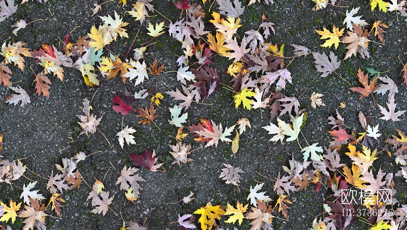 无缝灰色水泥沥青柏油路地面公路马路下载