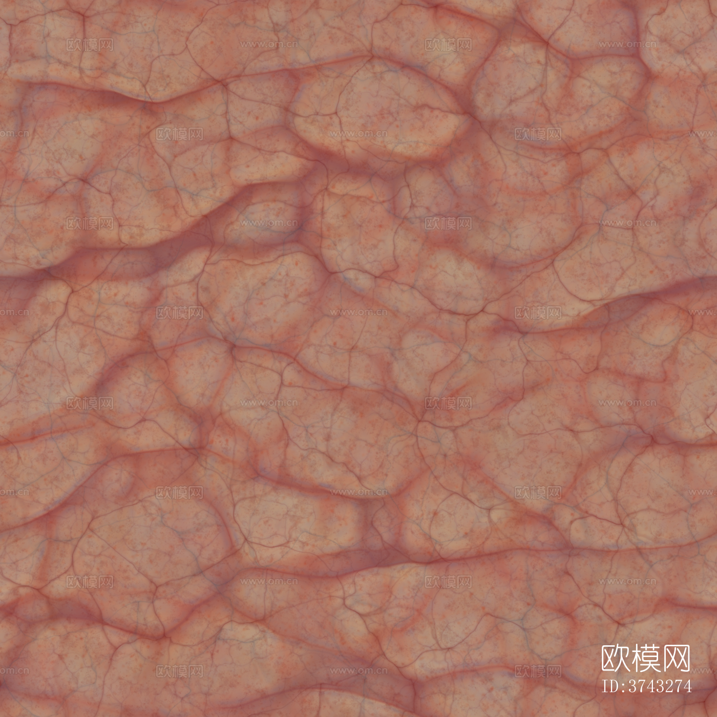 现代脑花 内脏 灰度 凹凸 粗糙度 环境光遮罩 高清 无缝下载（渲染图1）