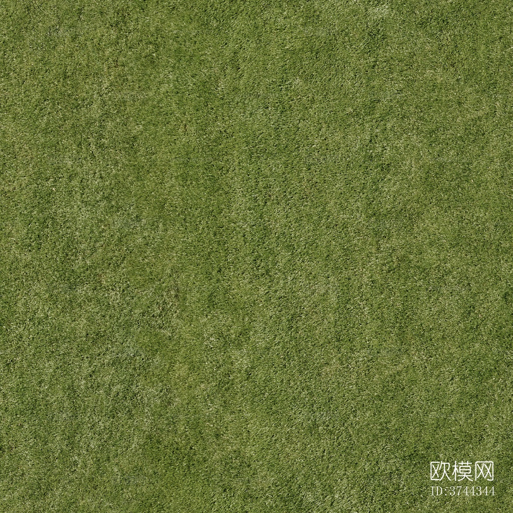 现代草地草坪草皮 草坪 自然草皮地面下载