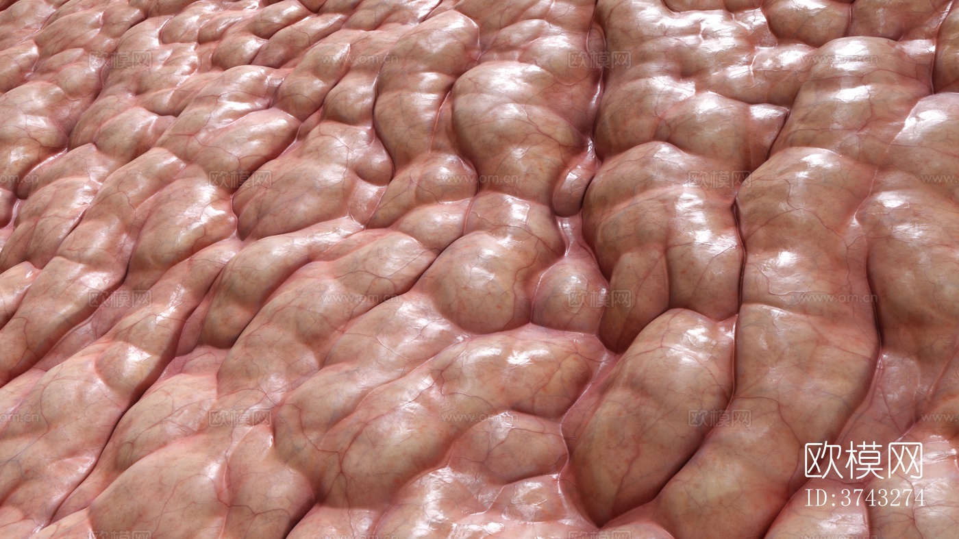 现代脑花 内脏 灰度 凹凸 粗糙度 环境光遮罩 高清 无缝下载（渲染图2）