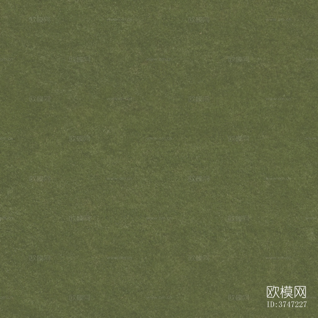 草地草坪草皮外景绿化公园草坪 草皮草坪下载