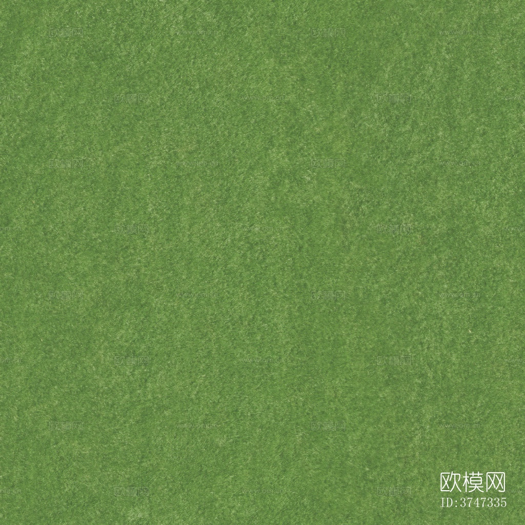 草地草坪草皮地面下载