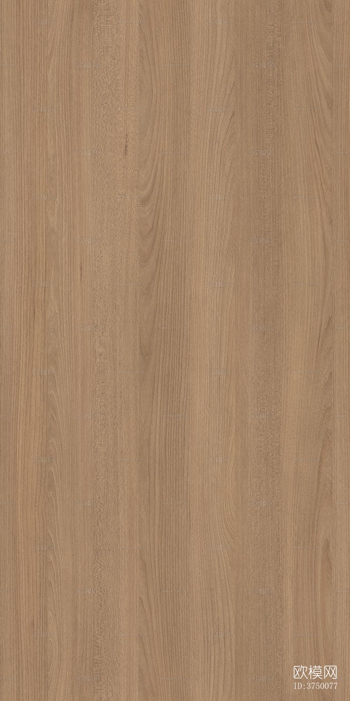 榆木木纹下载