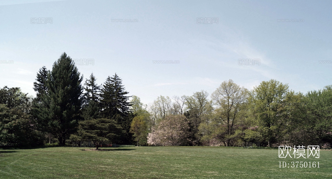白天树林草地外景下载