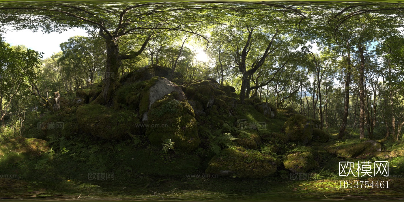 森林全景HDR 自然风光HDR下载