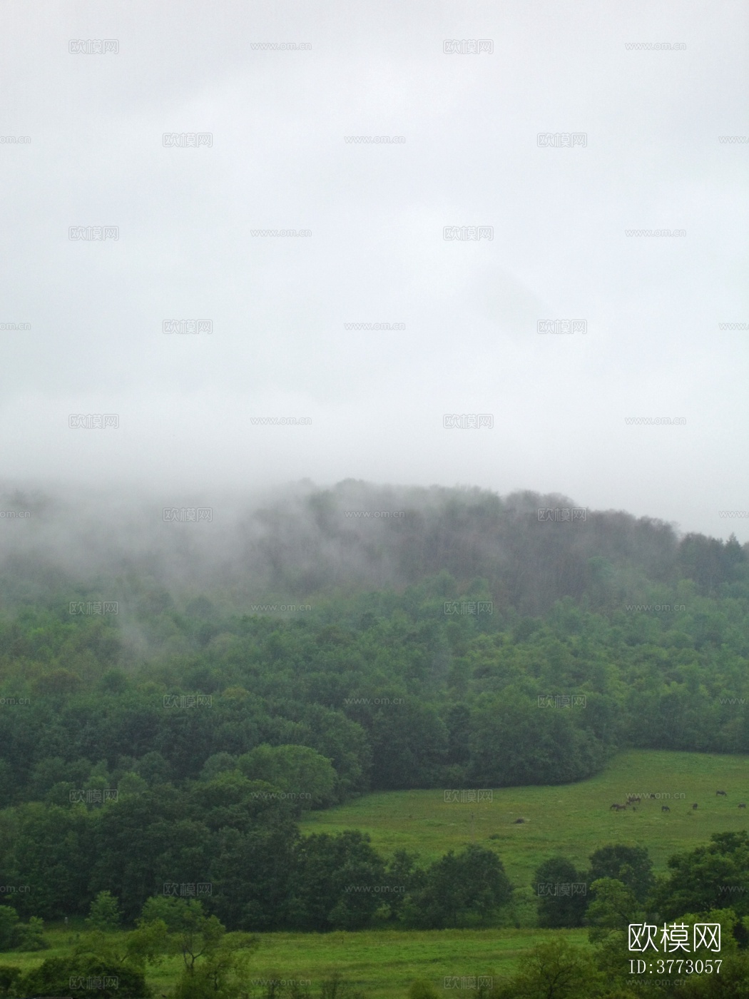 白天自然风景外景下载