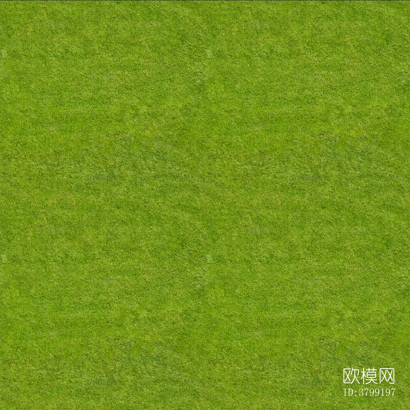 无缝土壤草坪草坡草皮草地下载