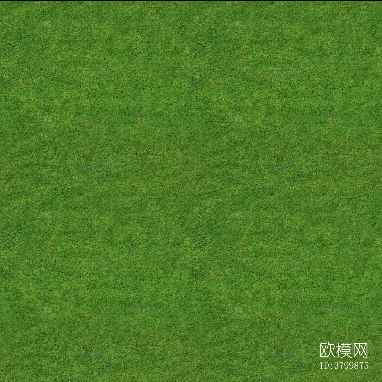 无缝自然草地草皮草坡绿地下载