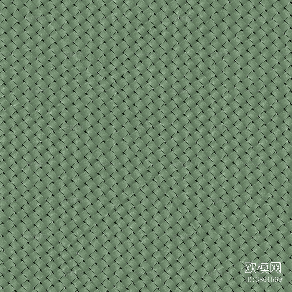 绿色编织皮下载