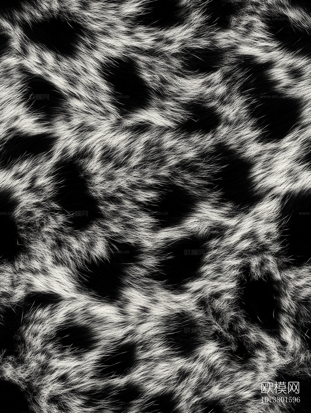 黑色斑点动物皮毛下载