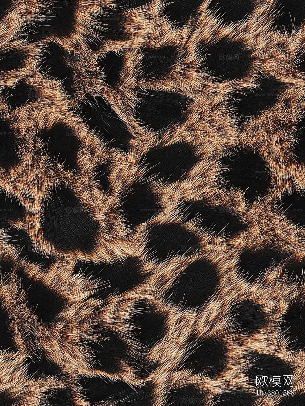斑点动物皮毛下载