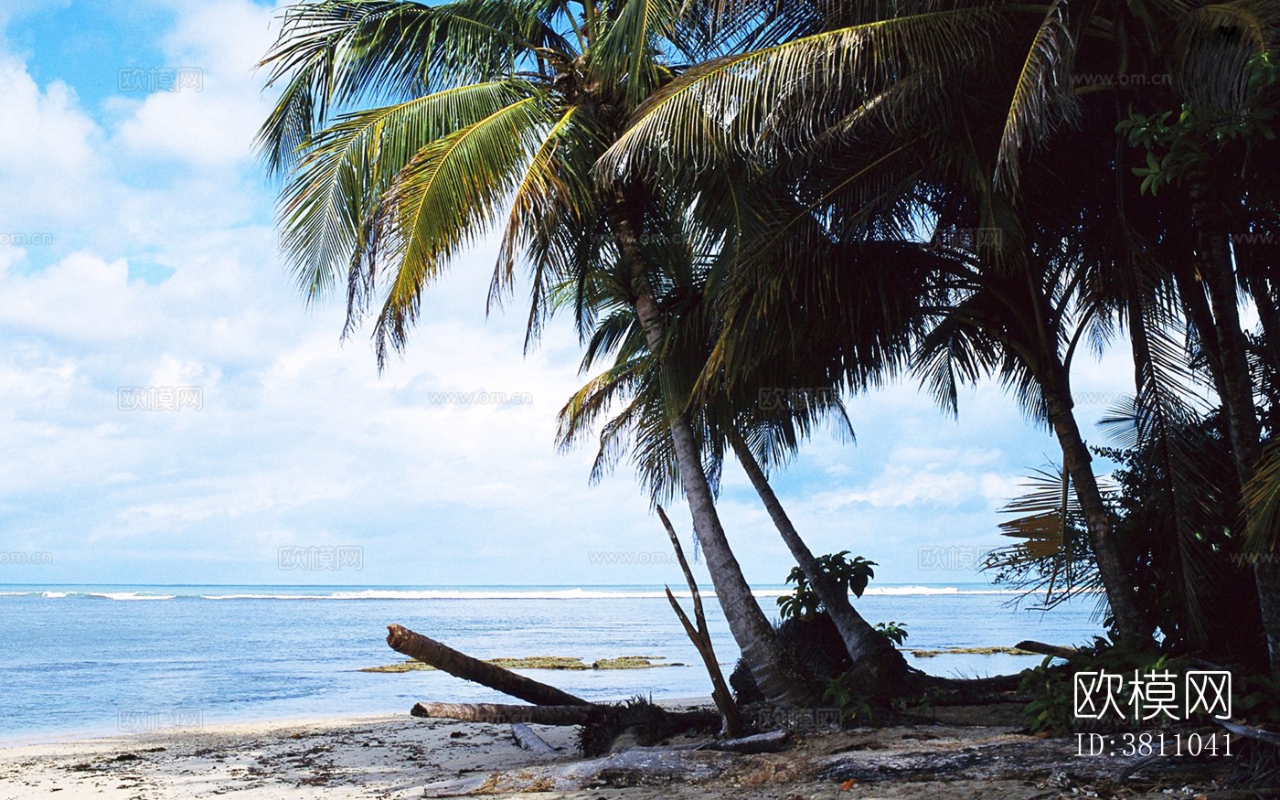 白天海边风景下载