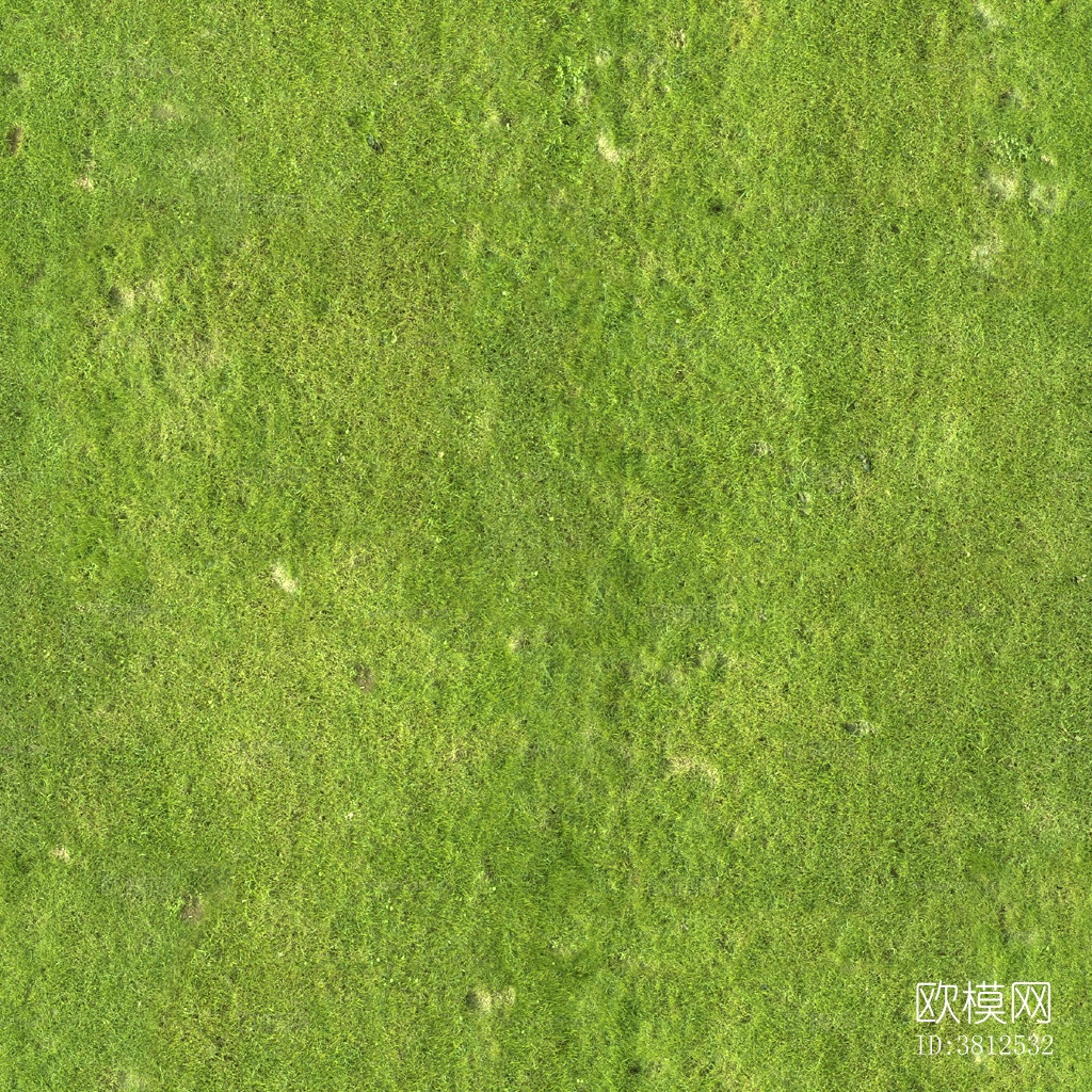 草地下载