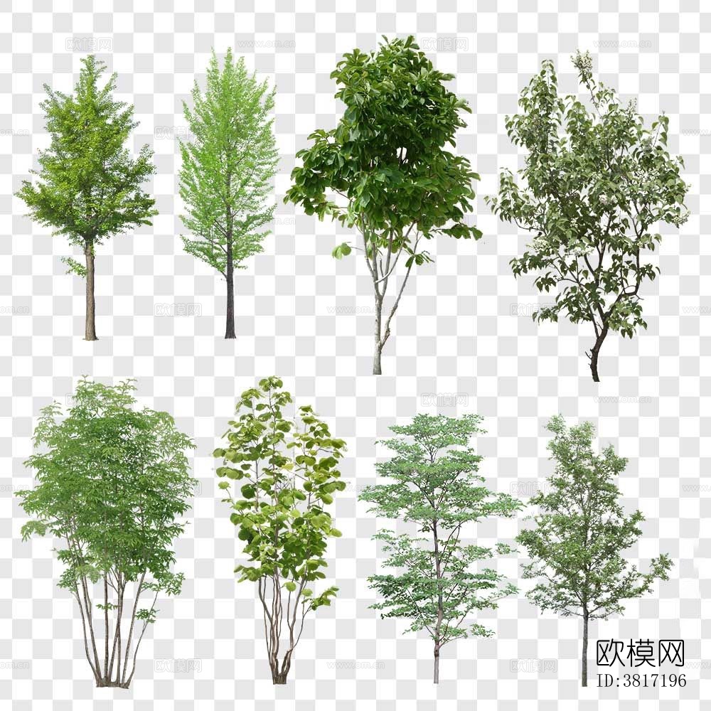 灌木植物免抠贴图下载