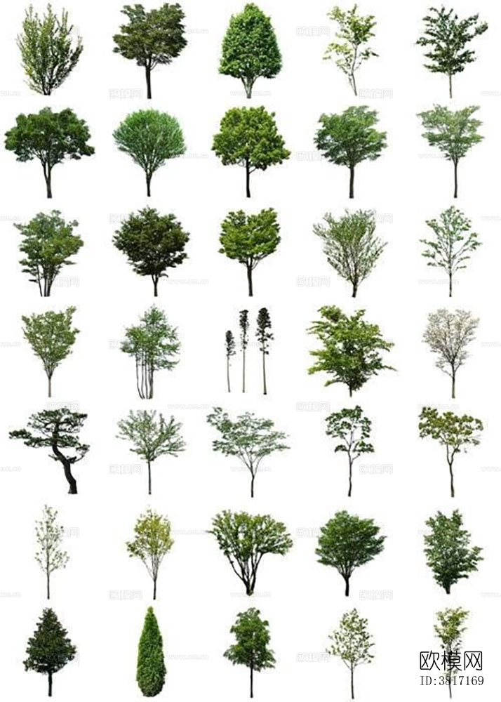 灌木绿植免抠贴图下载