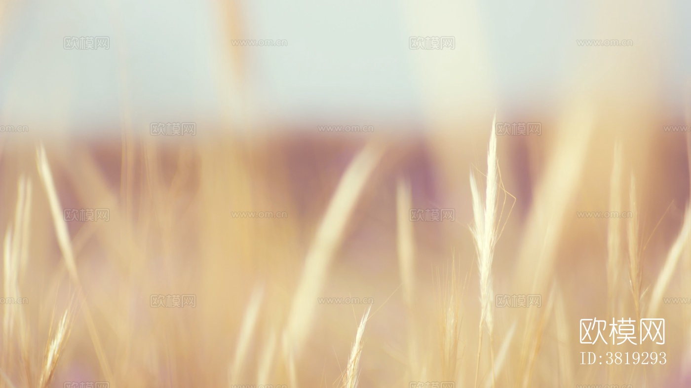 唯美装饰画下载