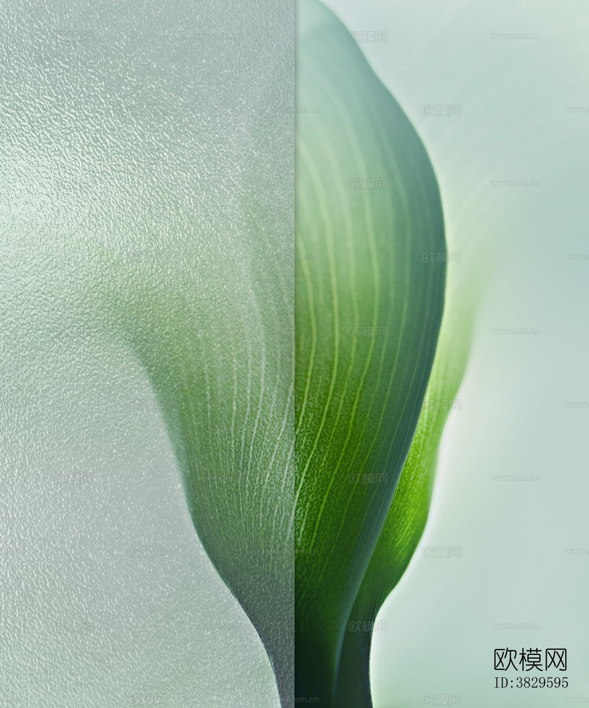 植物风格壁纸下载