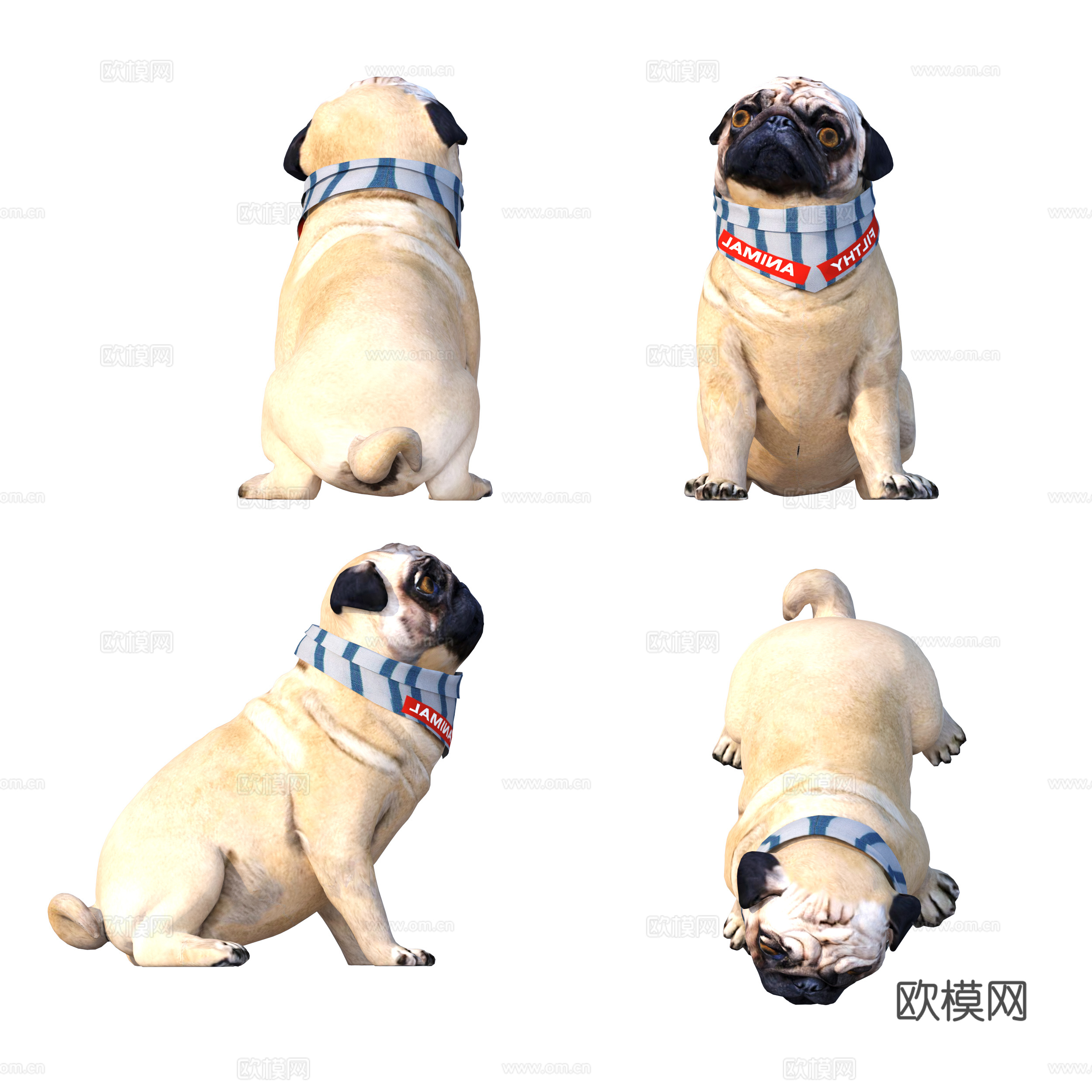 宠物猫狗 免抠贴图下载