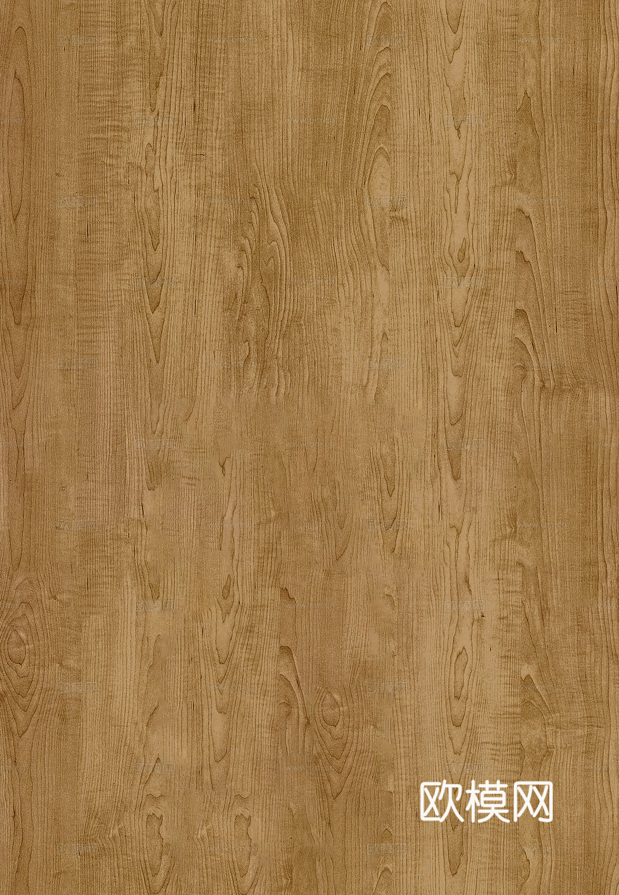 现代原木木饰面  原木木纹 深浅色木饰面下载