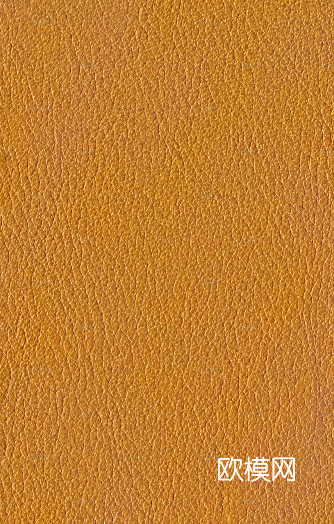 黄色皮革下载