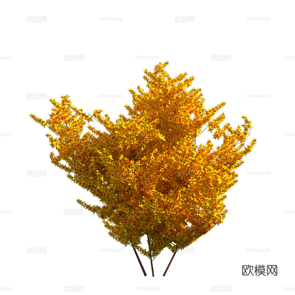 植物树木绿植下载