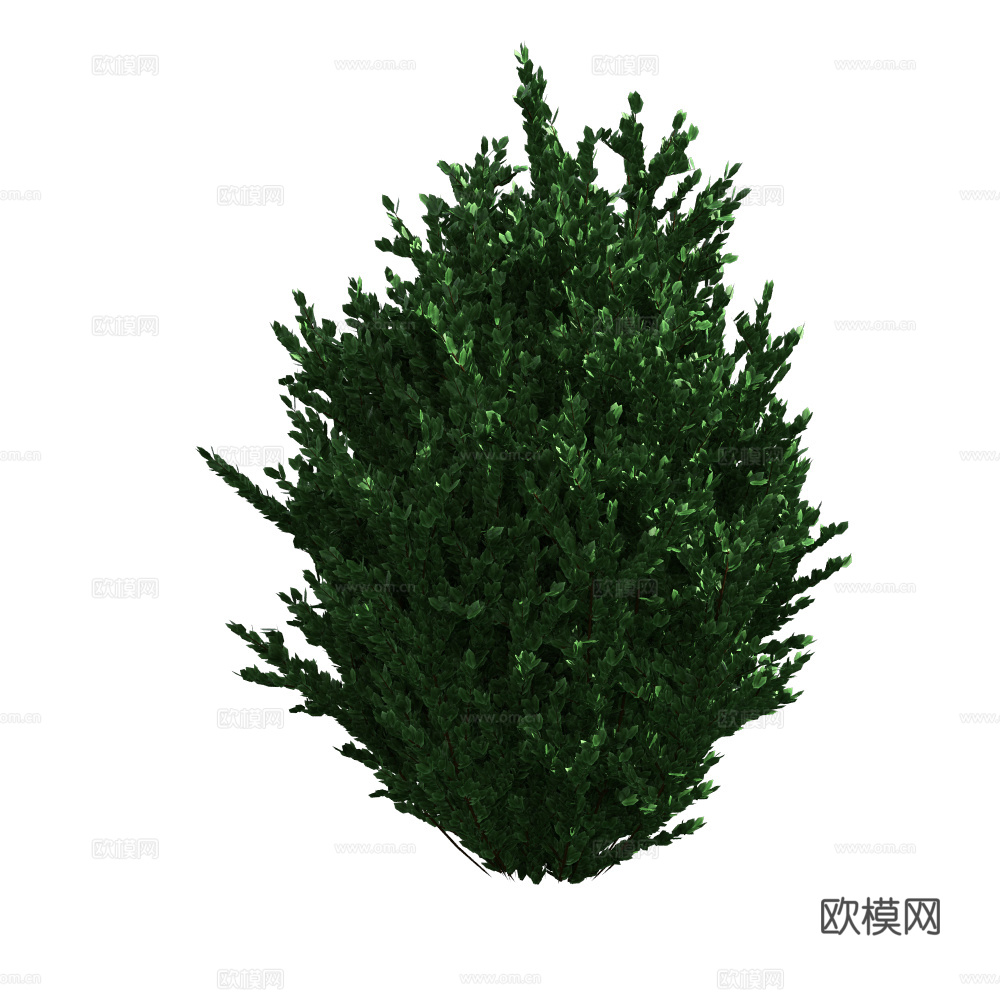 植物树木绿植下载