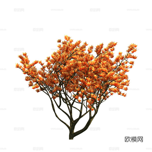 植物树木绿植下载