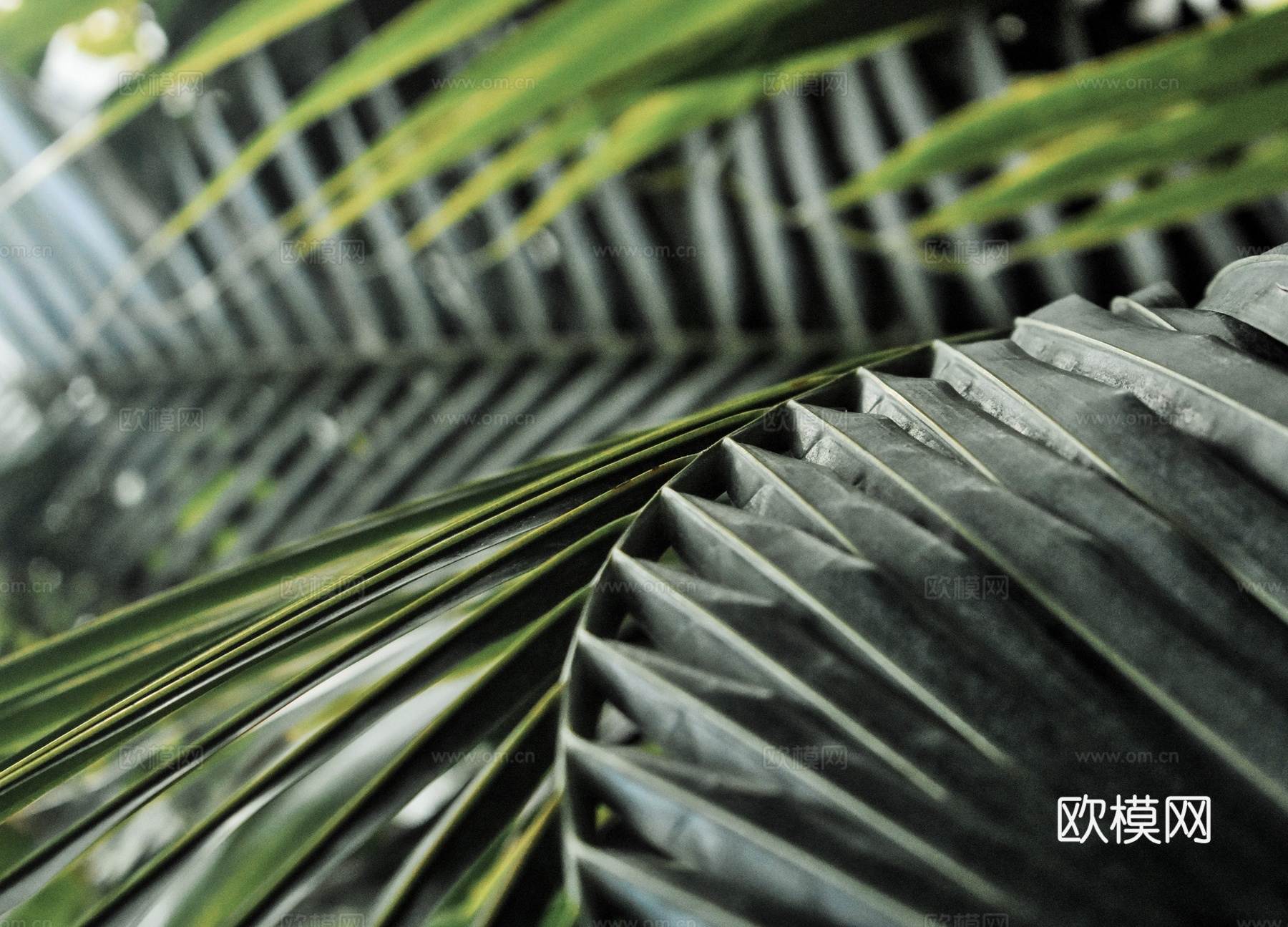 植物装饰画下载