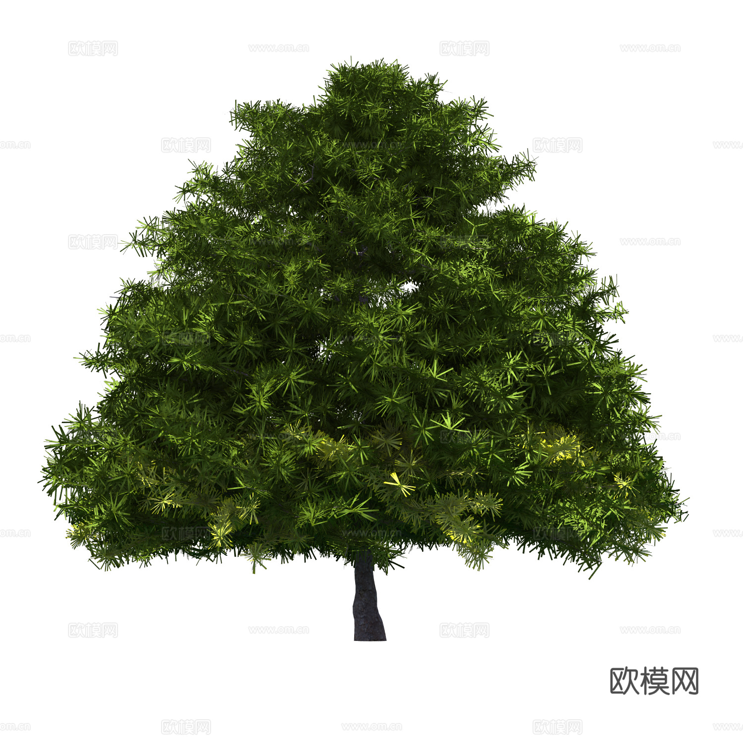 植物树木绿植下载