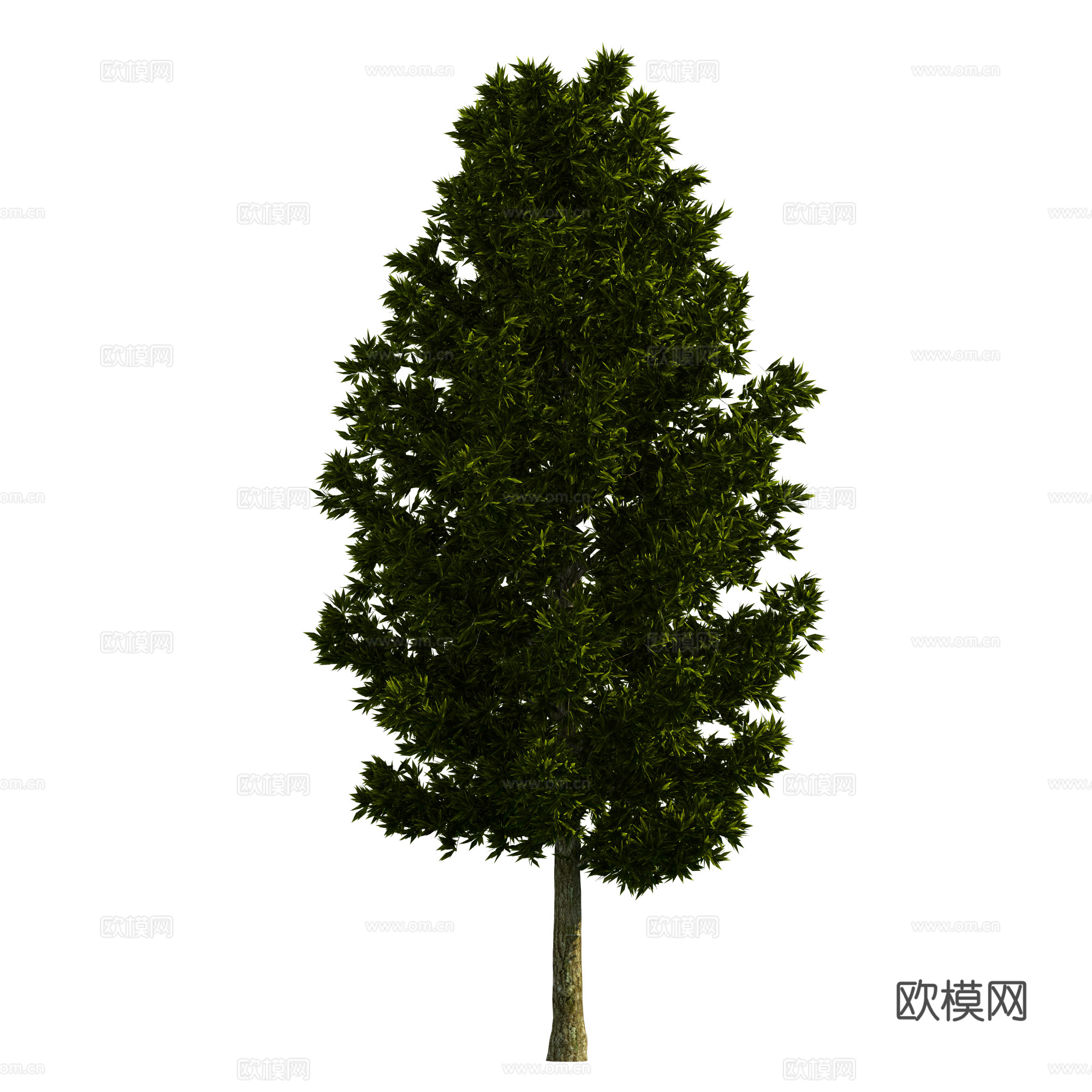 植物树木绿植下载