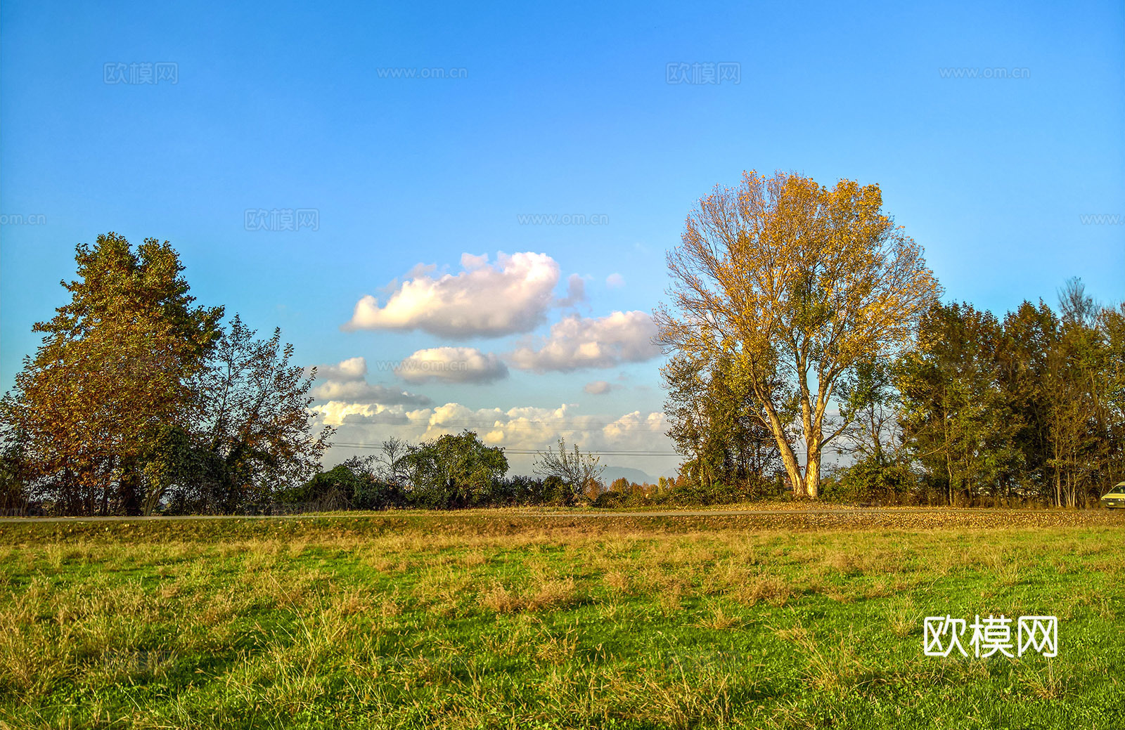 户外草地天空风景下载
