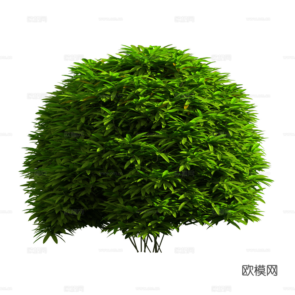 植物树木绿植下载