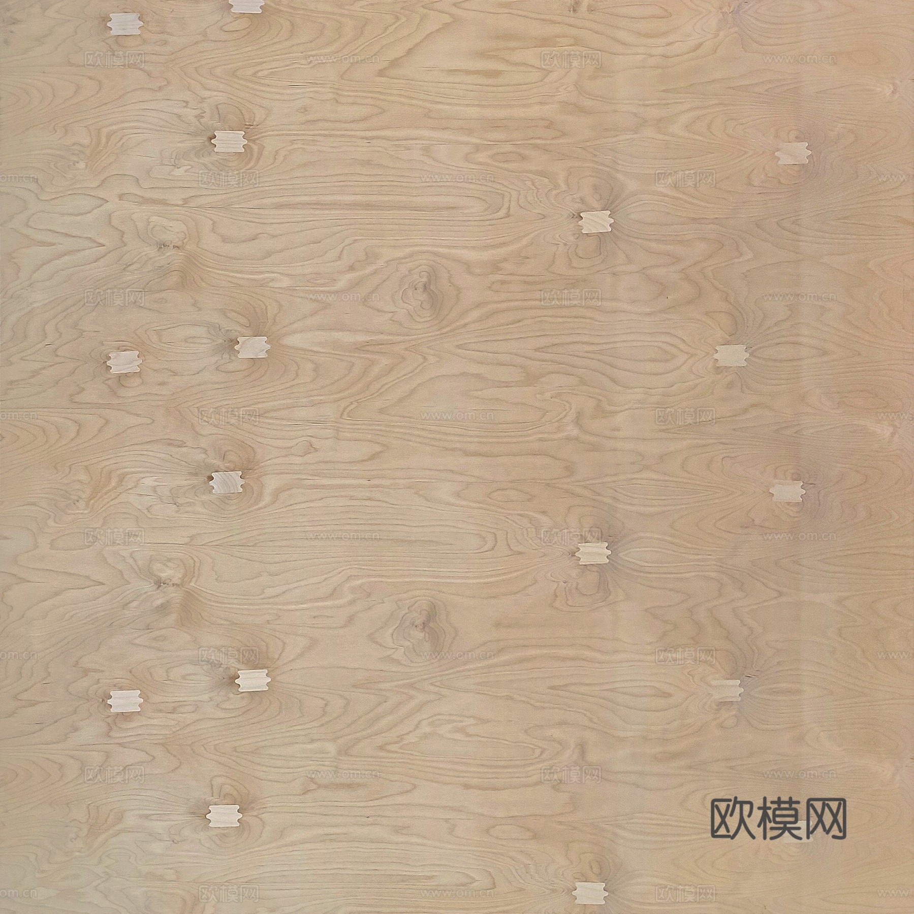 桦木胶合板下载