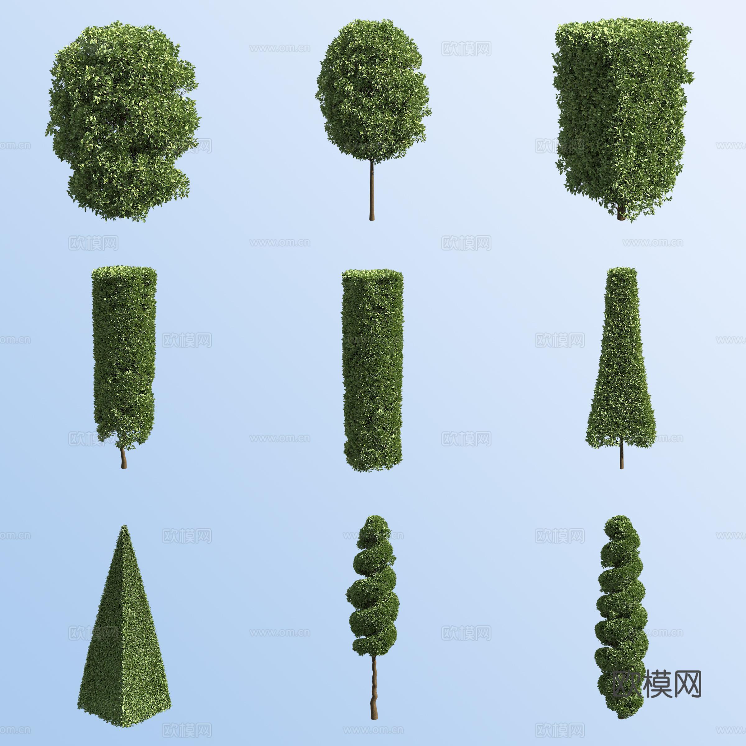 欧洲鹅耳枥园林 造型灌木免费3d模型