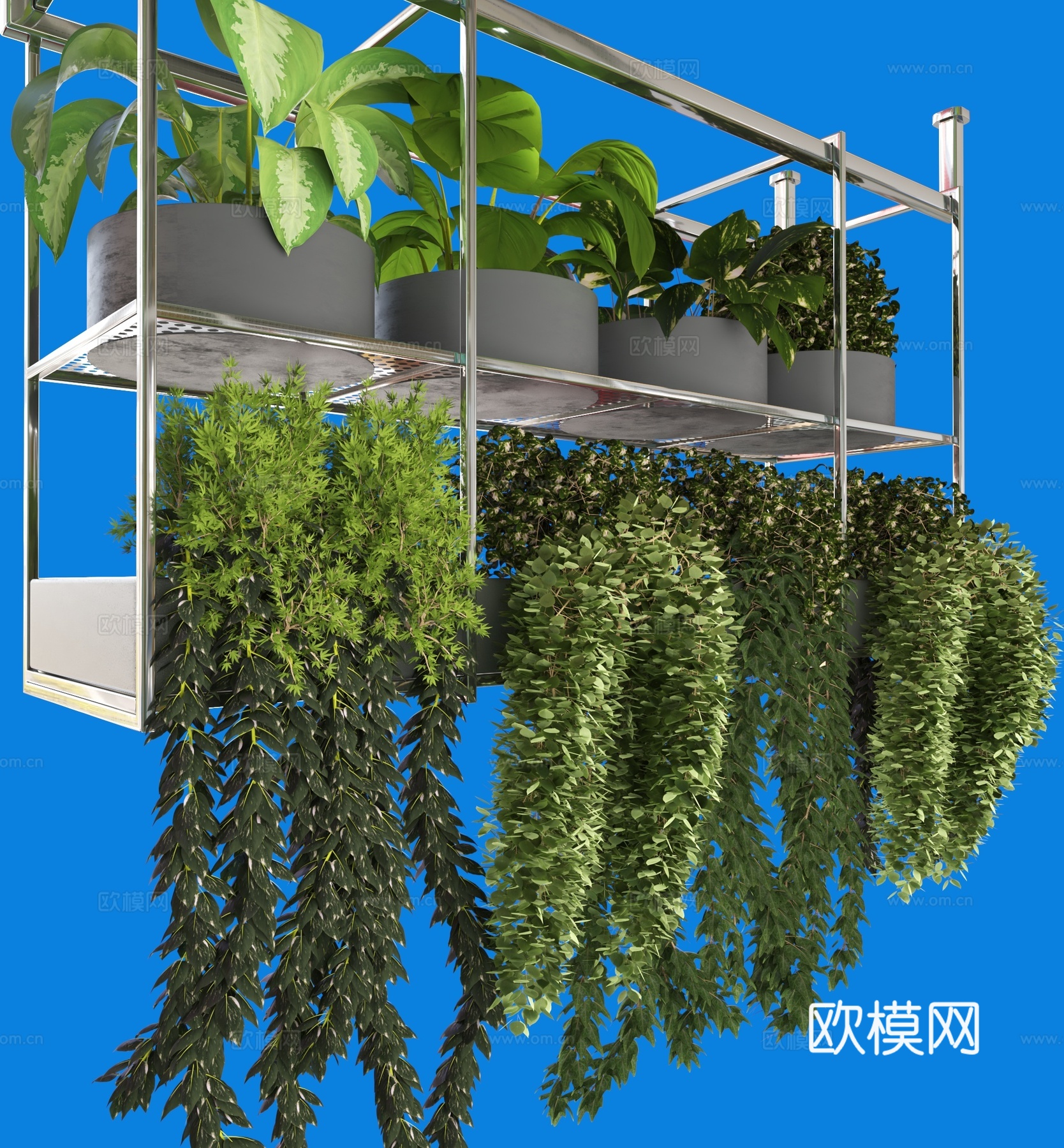 植物盆栽 花盆 绿植3d模型