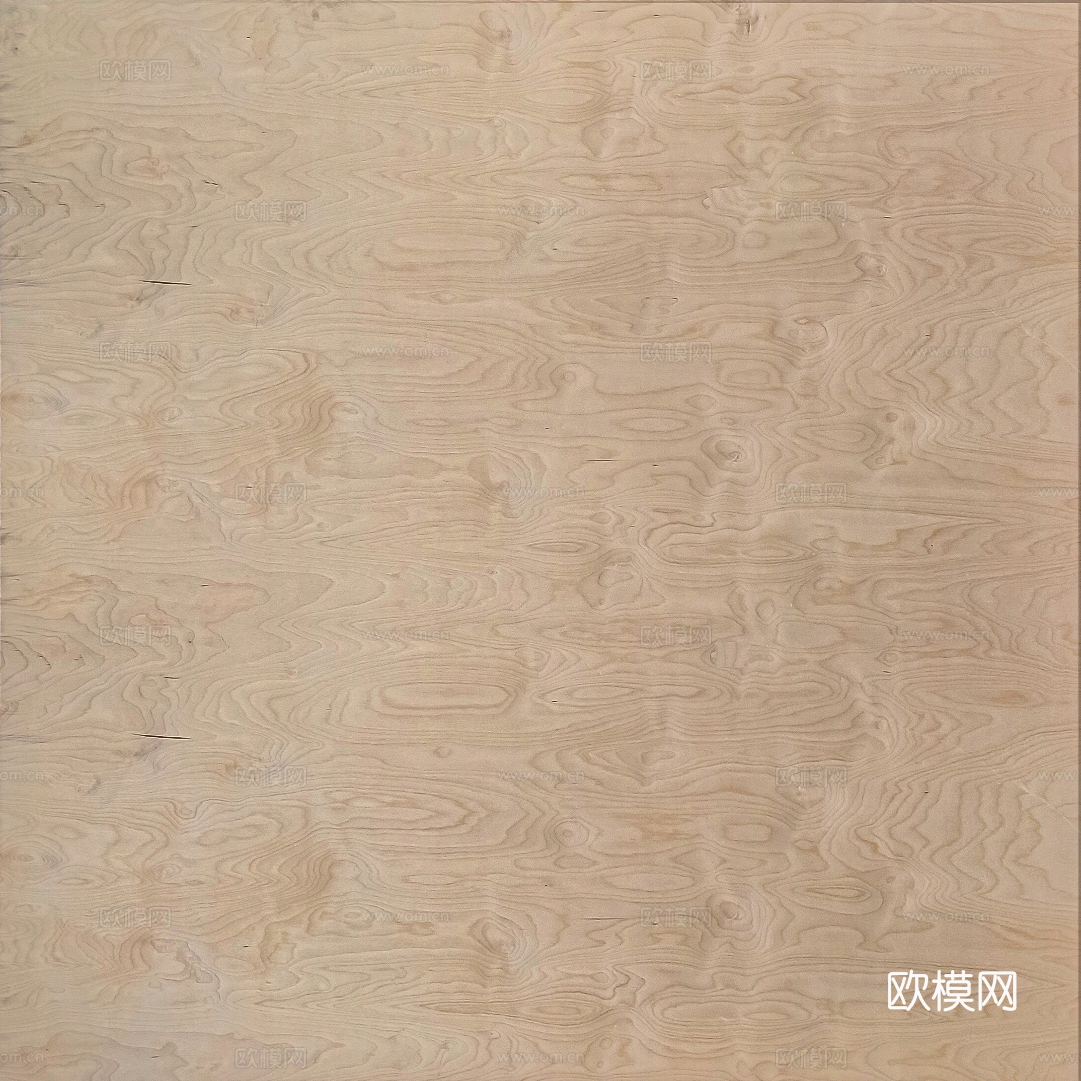 桦木胶合板下载