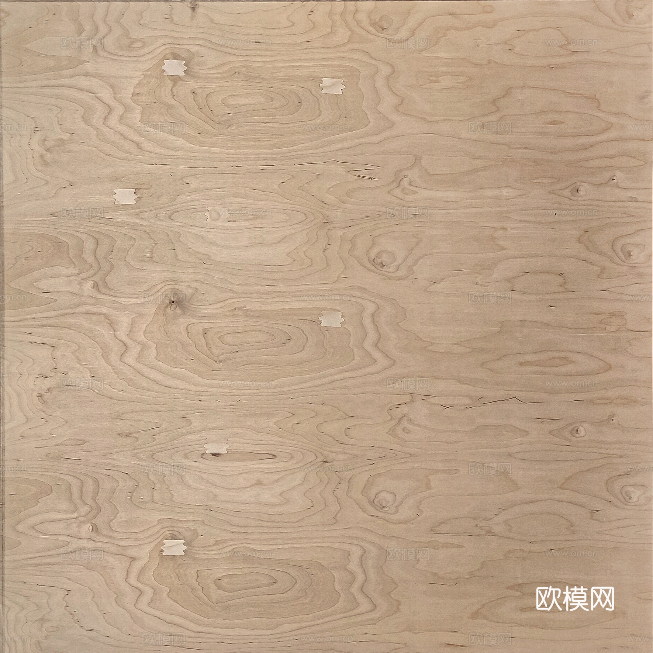 桦木胶合板下载